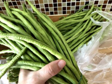 タイで一番「ナガササゲ」を生食している日本人(自称)がつづる、ナガササゲの魅力