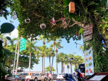 人気店「Surf Kitchen」コスパが良い&おすすめメニューはどれだ?!