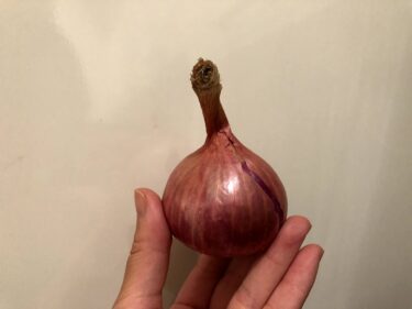 タイは、日本よりも引きこもりに向いている説【2021.7.2】